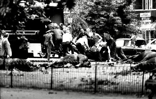 Hyde Park and Regent's Park bombings 31 years on Hyde Park 39bomber39 in dock Man charged over IRA