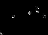 Hydrocortisone 17-butyrate httpsuploadwikimediaorgwikipediacommonsthu