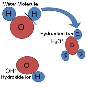 Hydronium Hydronium Ion Definition amp Formula Studycom