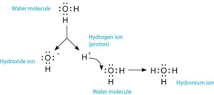Hydronium Is pH the Measurement of Hydrogen Ion Concentration or Ion Activity