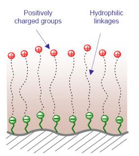 Hydrophilic interaction chromatography HILIC Hydrophilic Interaction Liquid Chromatography