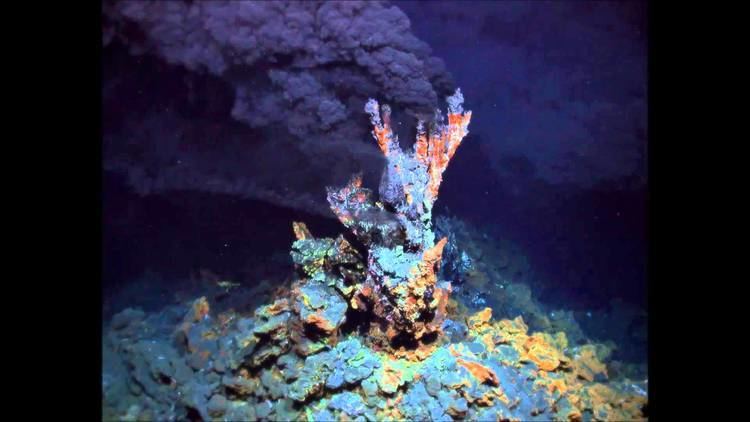 Hydrothermal vent Hydrothermal vents sound YouTube