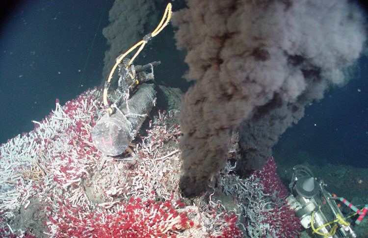 Hydrothermal vent oceanservicenoaagovfactsvents2jpg