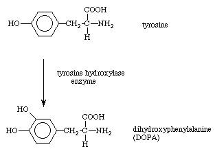 Hydroxylation Hydroxylation