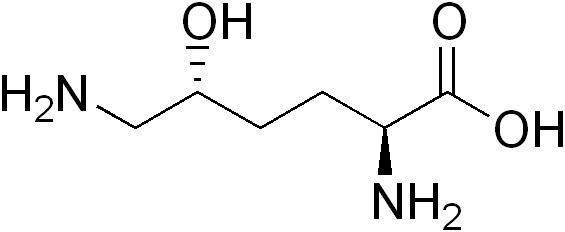 Hydroxylysine httpsuploadwikimediaorgwikipediacommonsaa