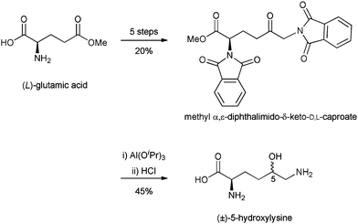 Hydroxylysine Synthesis of glycosylated 5hydroxylysine an important amino acid