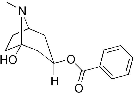 Hydroxytropacocaine