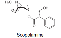 Hyoscine Scopolamine NeuroSoup