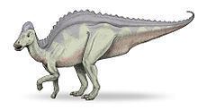 Hypacrosaurus httpsuploadwikimediaorgwikipediacommonsthu