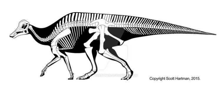 Hypacrosaurus Hypacrosaurus stebingeri by ScottHartman on DeviantArt