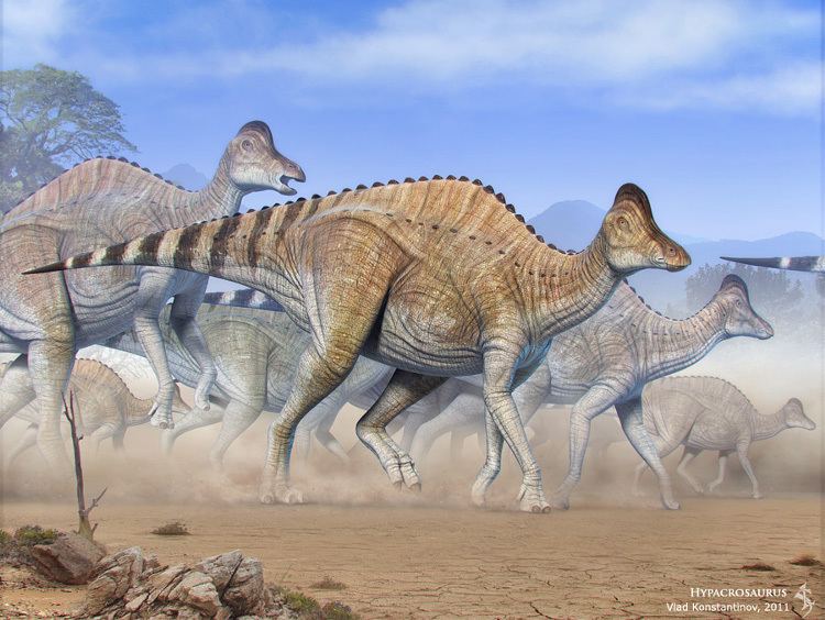 Hypacrosaurus hypacrosaurus DeviantArt