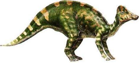 Hypacrosaurus dinosaur pictures Hypacrosaurus