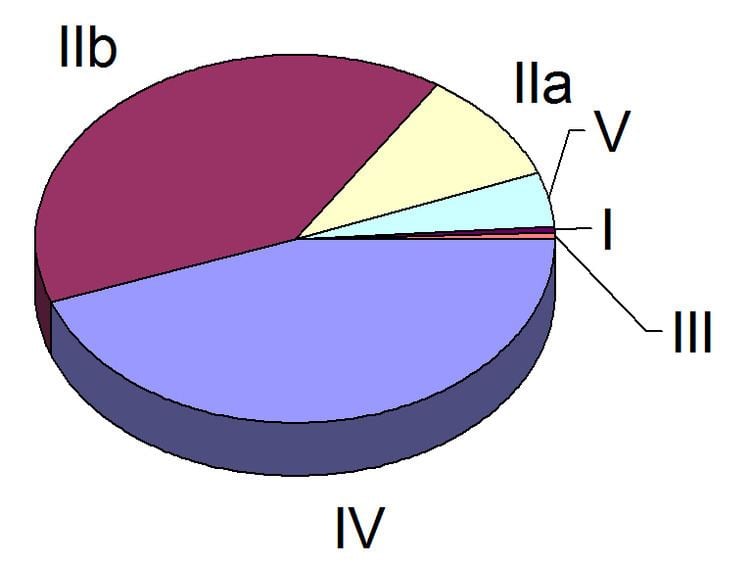 Hyperlipidemia