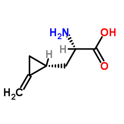 Hypoglycin A hypoglycin A C7H11NO2 ChemSpider