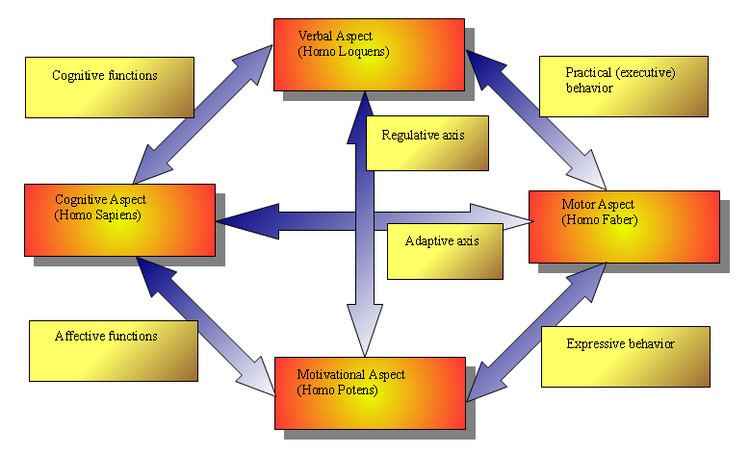 Hypostatic model of personality