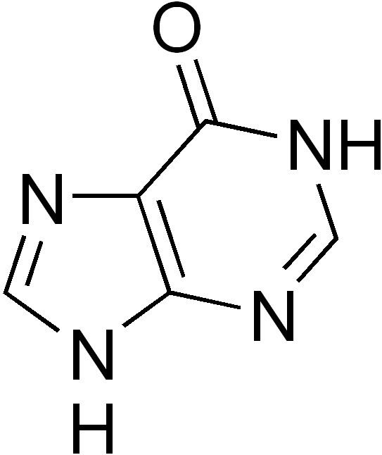 Hypoxanthine FileHypoxanthinepng Wikimedia Commons
