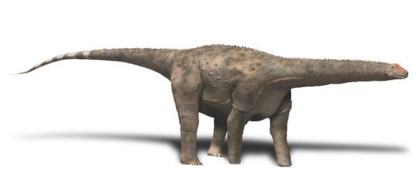 Hypselosaurus Hypselosaurus Wikipedia