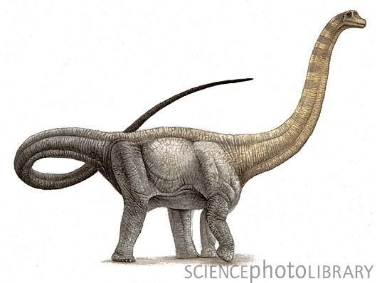 Hypselosaurus imagesdinosaurpicturesorgHypselosauruspriscus