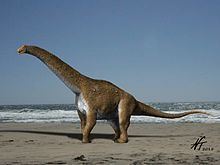 Hypselosaurus Hypselosaurus Wikipedia