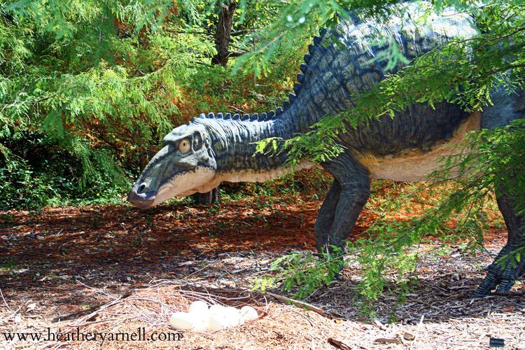 Hypsibema Hypsibema Missouriense Dinosaur model at Powell Gardens in Flickr