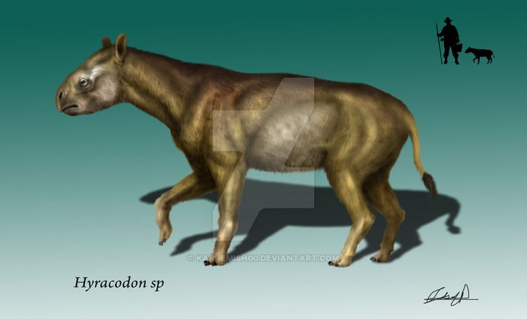 Hyracodon hyracodon DeviantArt