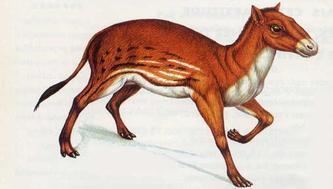 Poster of a Hyracotherium or dawn horse with orange and white colors.