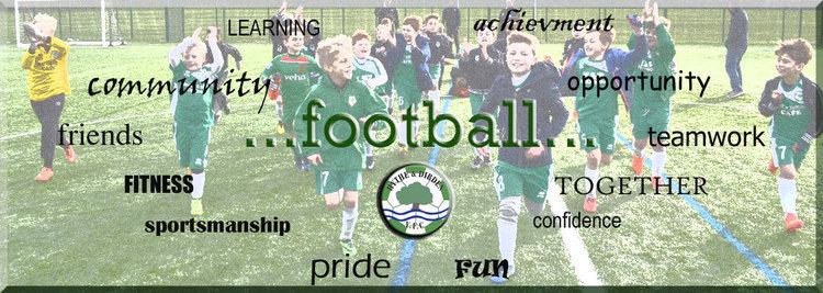 Hythe & Dibden F.C. Hythe amp Dibden Youth Football Club Homepage