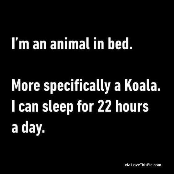 I Am an Animal I Am An Animal In Bed Pictures Photos and Images for Facebook