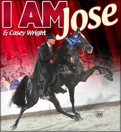 I Am Jose Tennessee Walking horse I Am Jose 20806071 home page by Walkers West