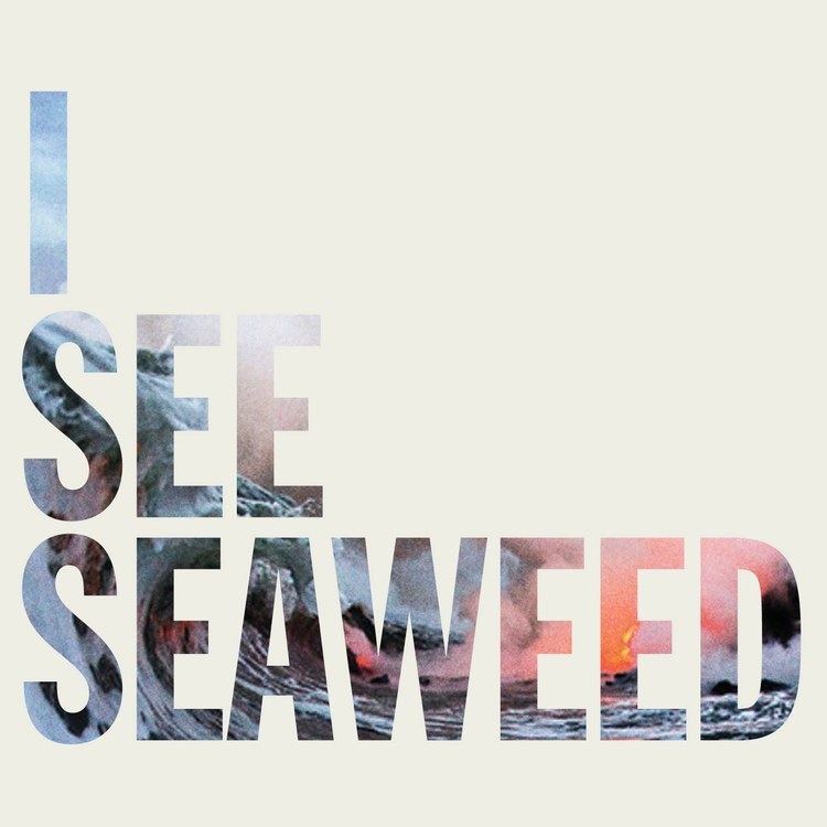 I See Seaweed wwwstuartmcmillencomwpcontentuploads201312