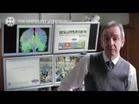 Ian Deary Professor Ian Deary Research in a Nutshell YouTube