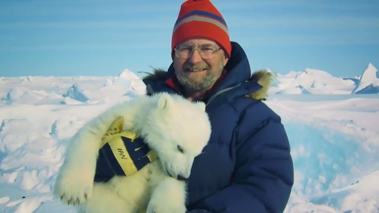 Ian Stirling (biologist) Ian Stirling polar bear scientist wins 50K lifetime achievement