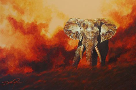 Ian van Zyl South African Wildlife Artist Ian van Zyl