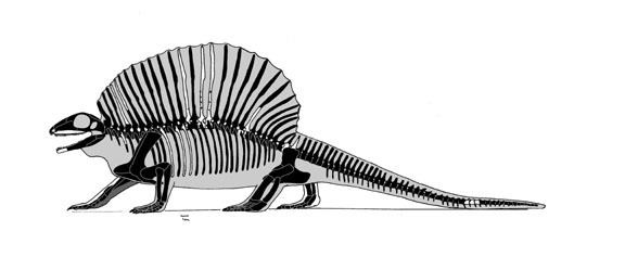 Ianthasaurus Untitled Document