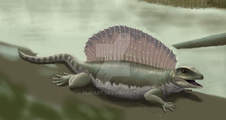 Ianthasaurus Ianthasaurus mirabilis 1 by Plioart on DeviantArt