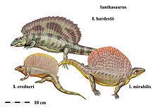 Ianthasaurus httpsuploadwikimediaorgwikipediacommonsthu