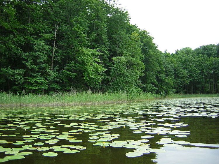 Iława Lake District Landscape Park