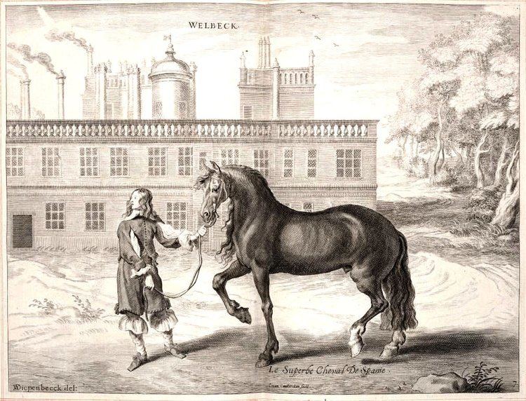 Iberian horse