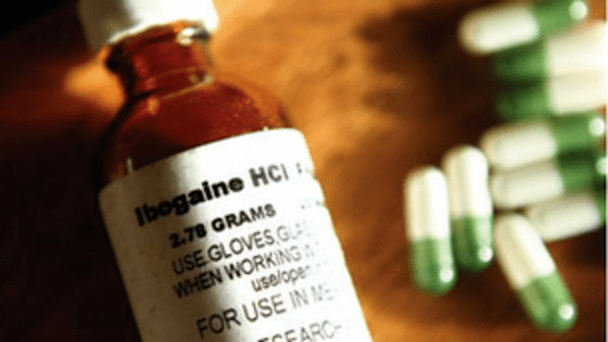 Ibogaine Can a hallucinogen from Africa cure addiction BBC News
