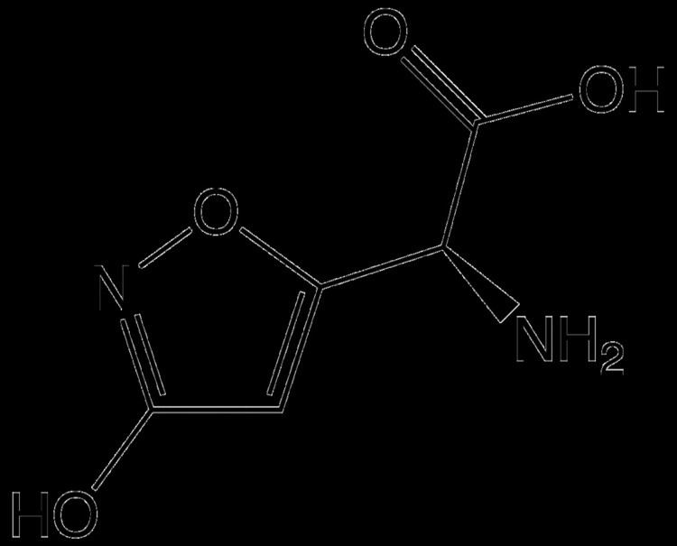 Ibotenic acid httpsuploadwikimediaorgwikipediacommonsthu