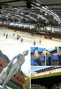 Ice Hockey Stadium of Dunaújváros httpsuploadwikimediaorgwikipediacommonsthu