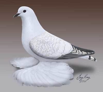 A drawing of an Ice pigeon featured an a postcard.