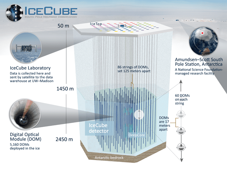IceCube Neutrino Observatory Detector