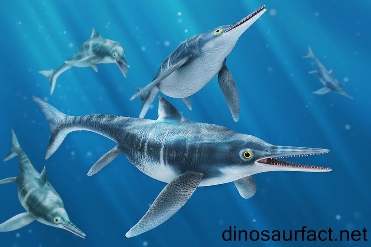 Ichthyosaurus ichthyosaurus dinosaur