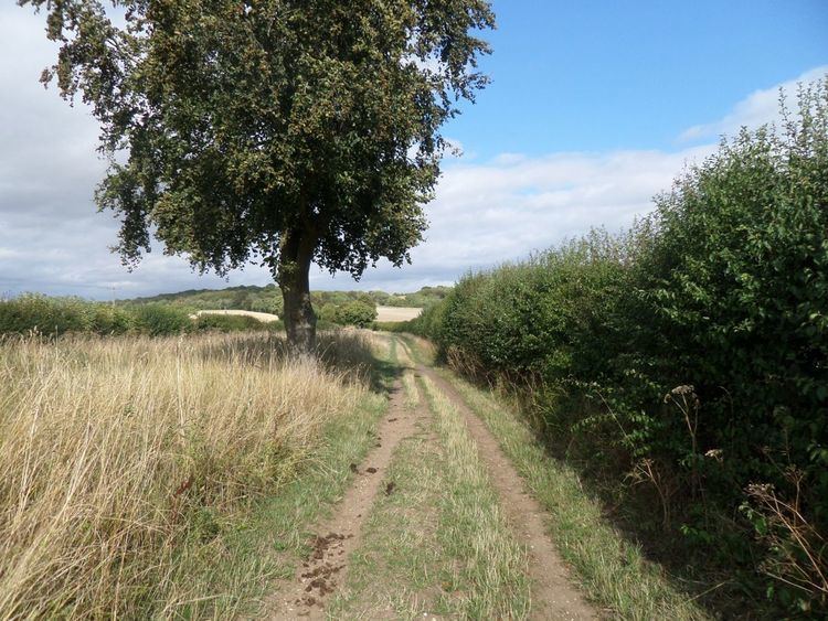The Icknield Way Path â WildÃ¾ingUK