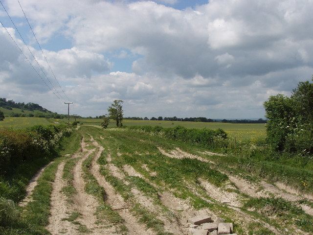 Icknield Way Path Icknield Way Path