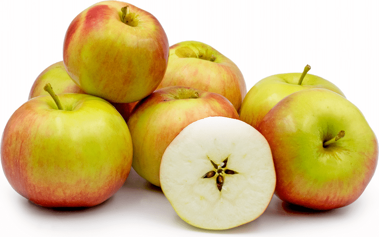 Idared Idared Apple Information and Facts