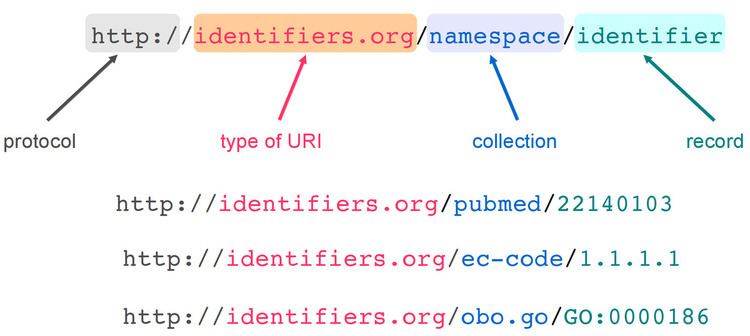 Identifiers.org