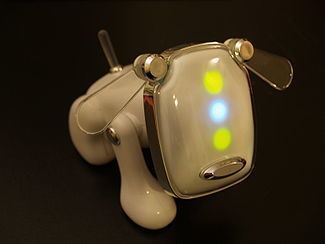 IDog