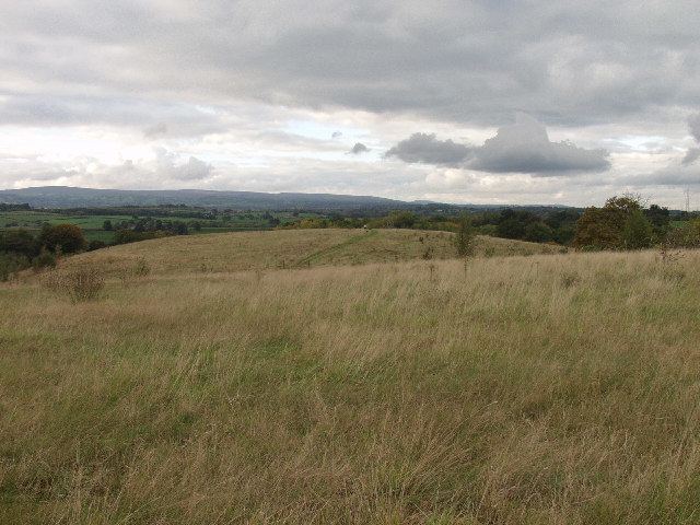 Ifton Meadows